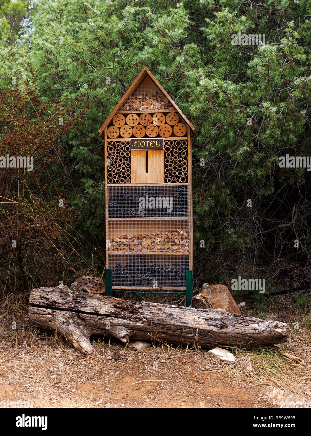 Decorative Insect house with compartments and natural components in a ...