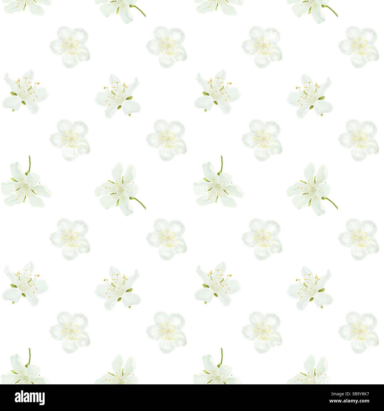 White flowers with delicate petals and yellow stamens, seamless pattern. Digital watercolor illustration. Japanese sakura and cherry blossom twigs and Stock Photo