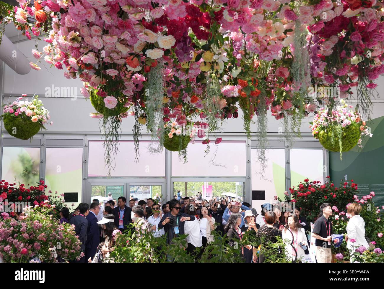 centro benessere rosa di xinhua chen