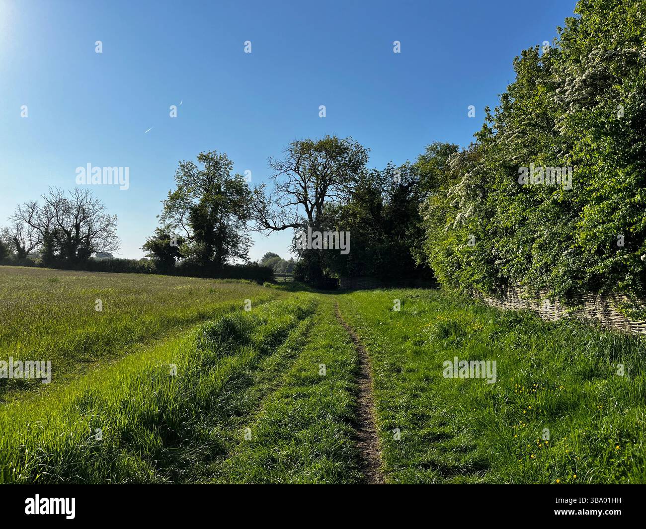 Image of a farm track on a beautiful clear day in the Cotswolds. - Smartphone Captured Stock Image