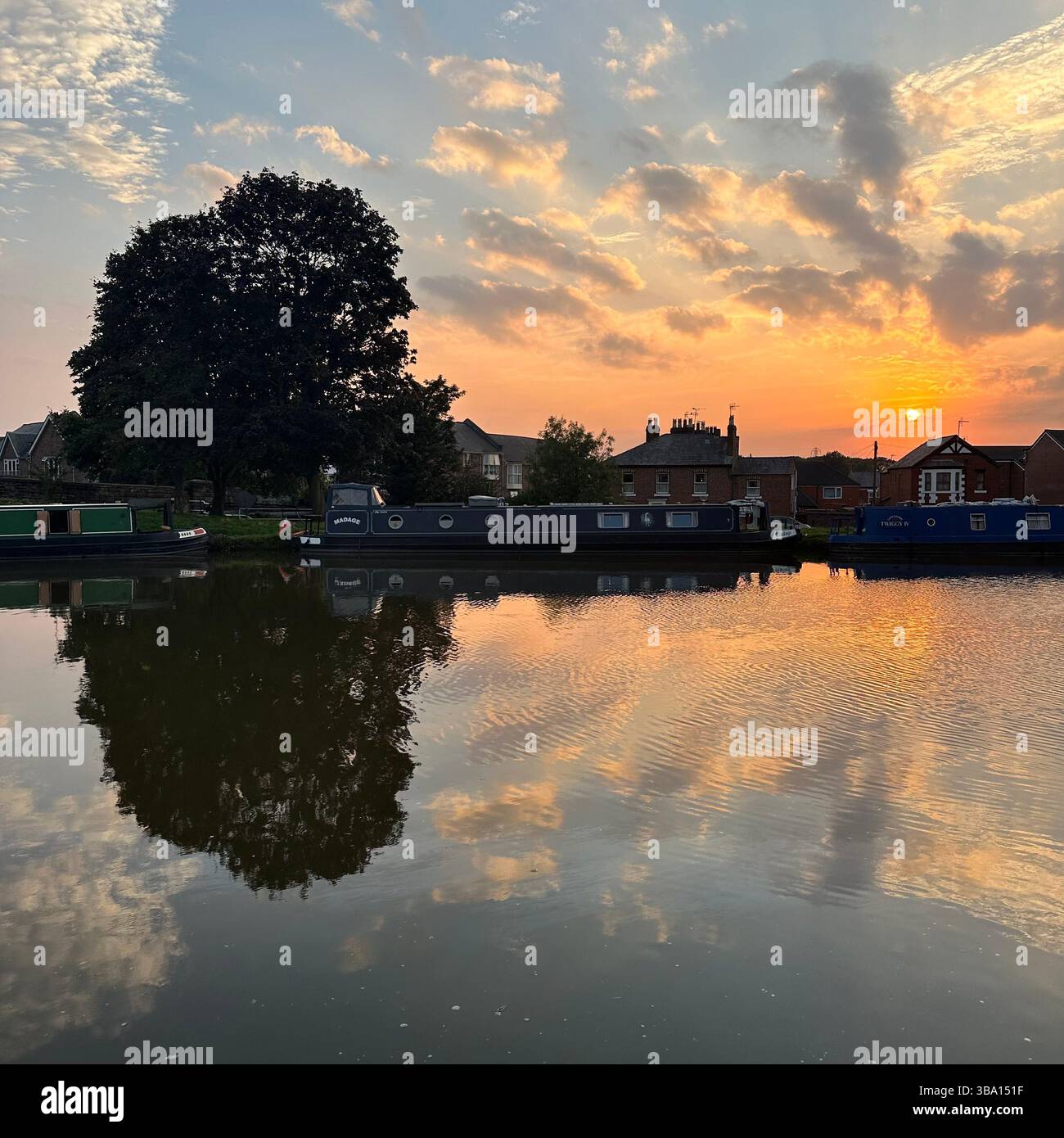 Chester canal at sunset with trees, houses, and fluffy clouds reflected in still water on a clear evening, showing vivid sky and calm reflections. - Smartphone Captured Stock Image