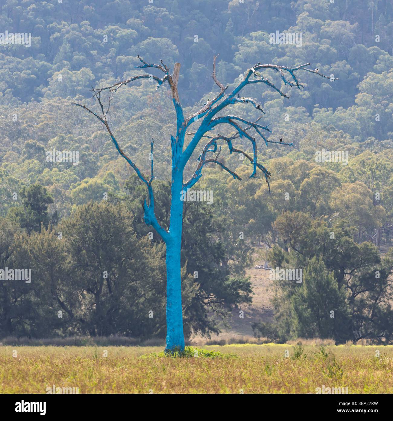 Suicide prevention australia hi-res stock photography and images - Alamy