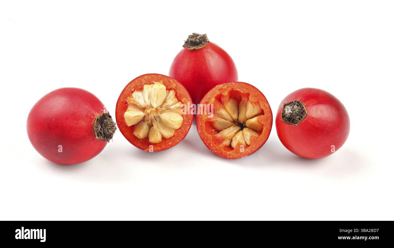 Rosehips (Rosa Canina fruits), one cut in half isolated on white ...