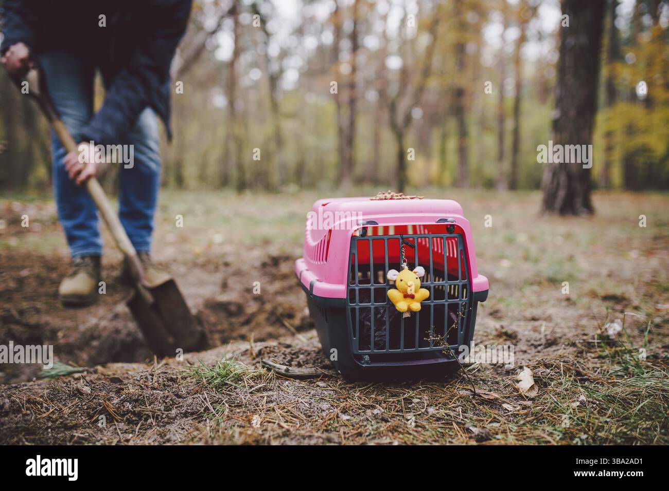Scary horror scene man digs grave for animal in forest. Terrible loss of little friend. Death of pet. Funeral of cat. Gravedigger at work. RIP pets. O Stock Photo