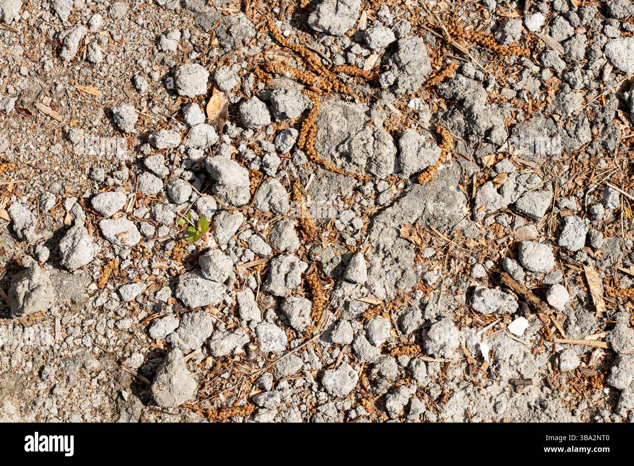 Road of slag and stones in the sun close-up,stone road Stock Photo