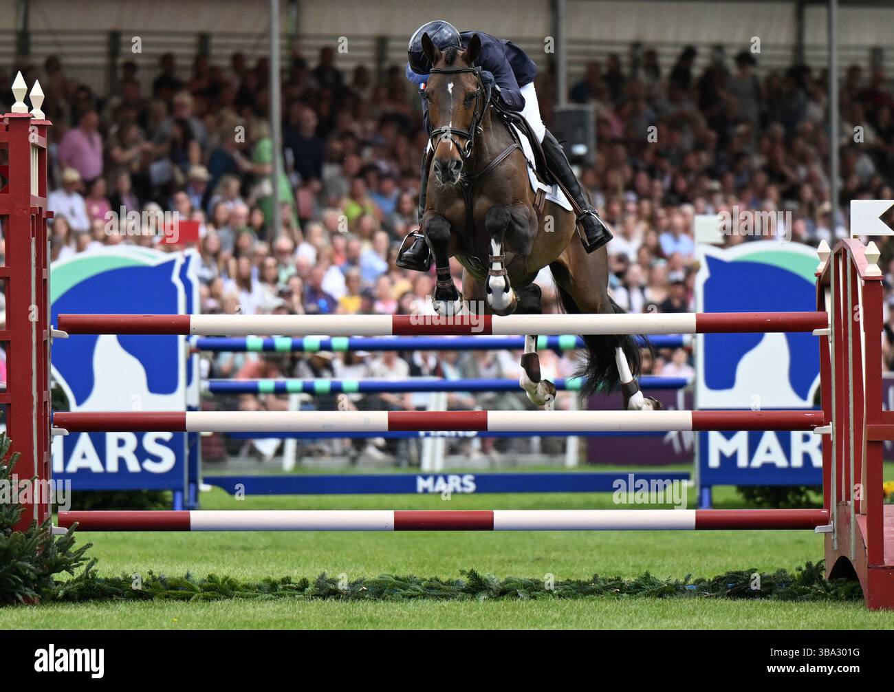 From Laval to Cranleigh: The Making of a Rider