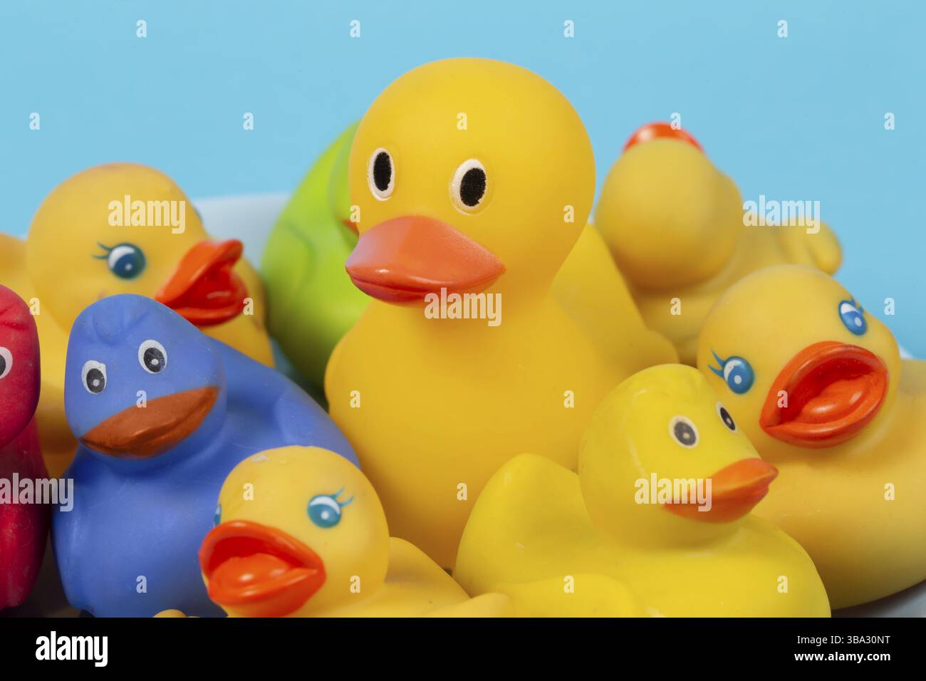 Multi-colored rubber ducks on a blue background Stock Photo