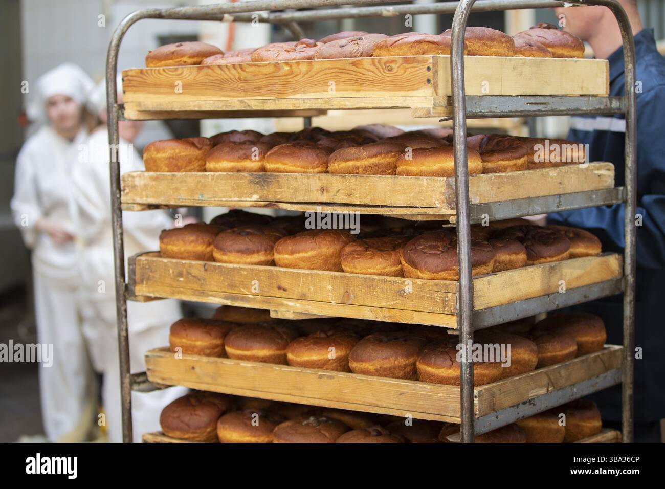 Industrial food production bread hi-res stock photography and images ...
