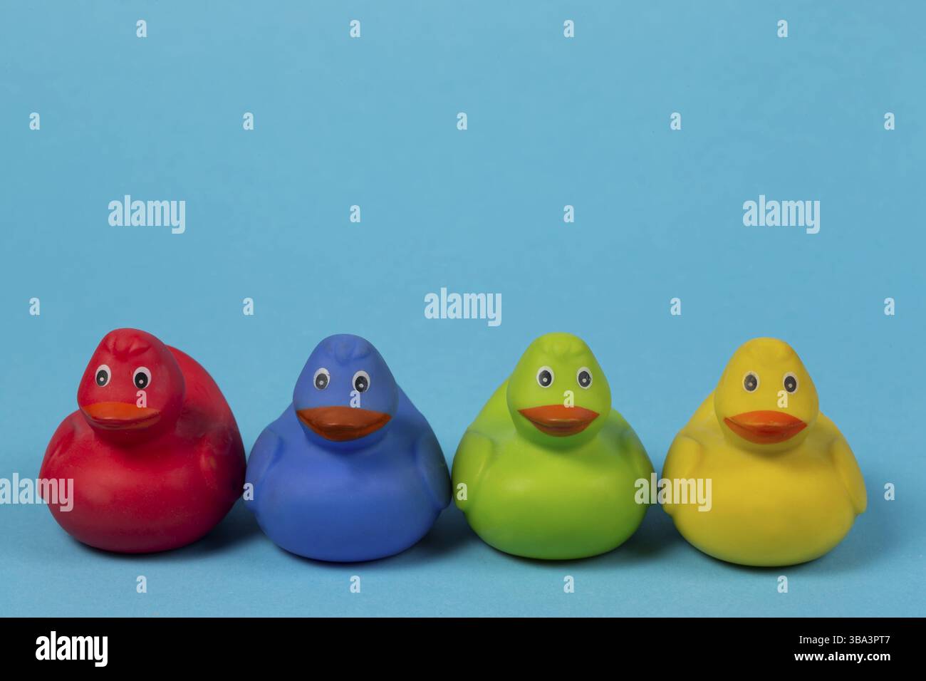 Multi-colored rubber ducks on a blue background Stock Photo