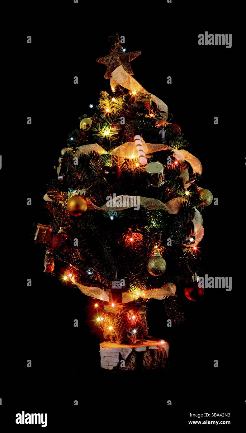 Little Christmas tree from pine branches on a black background Stock Photo