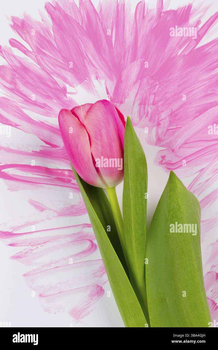 Rosa aquarell hintergrund hi-res stock photography and images - Alamy, image size:866x1390