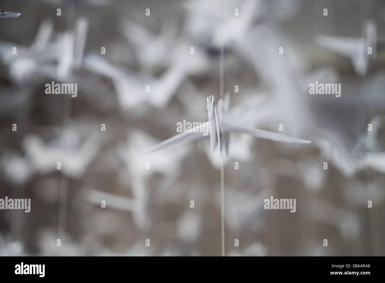 White Origami cranes paper closeup swarm macro photo Stock Photo - Alamy