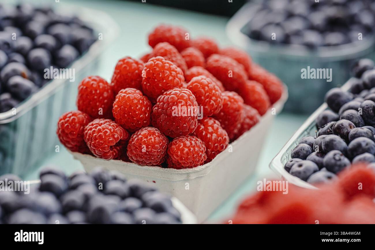 Kleine Papierkisten mit Blaubeeren und Himbeeren auf dem Lebensmittelmarkt angezeigt, Nahaufnahme Detail Stock Photo