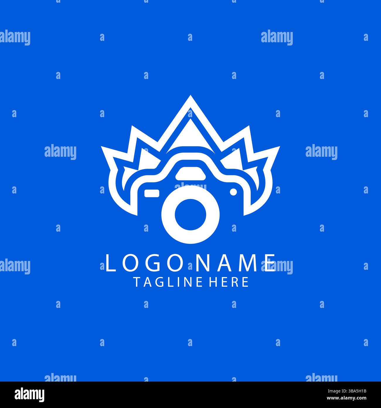 king camera logo design vector Stock Vector