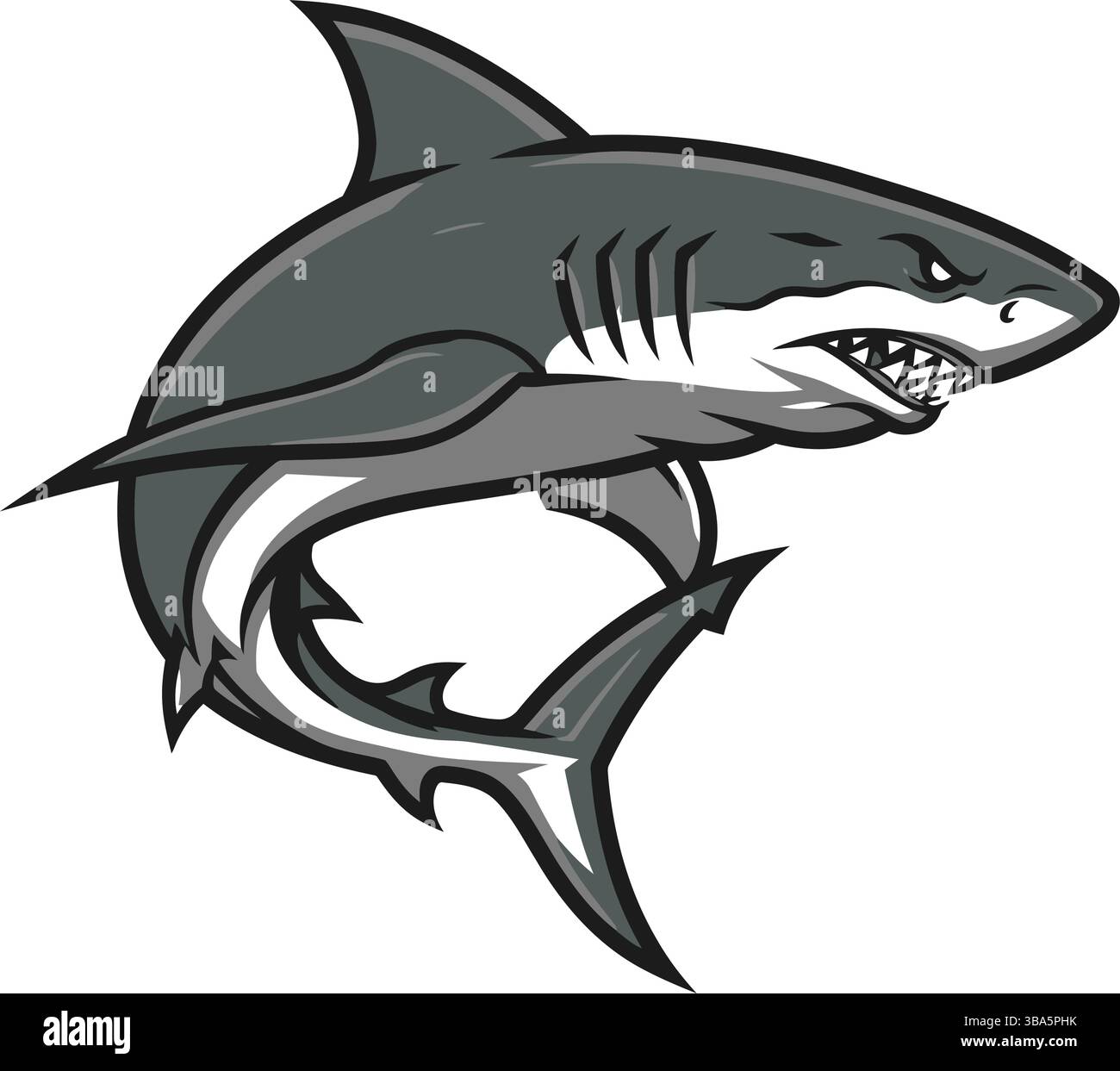 Fierce Shark Illustration – Dynamic and Bold Design Stock Vector