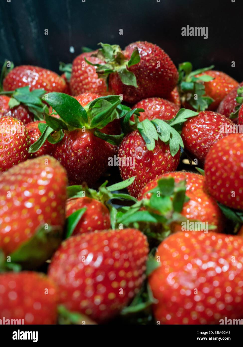 Starberry hi-res stock photography and images - Alamy