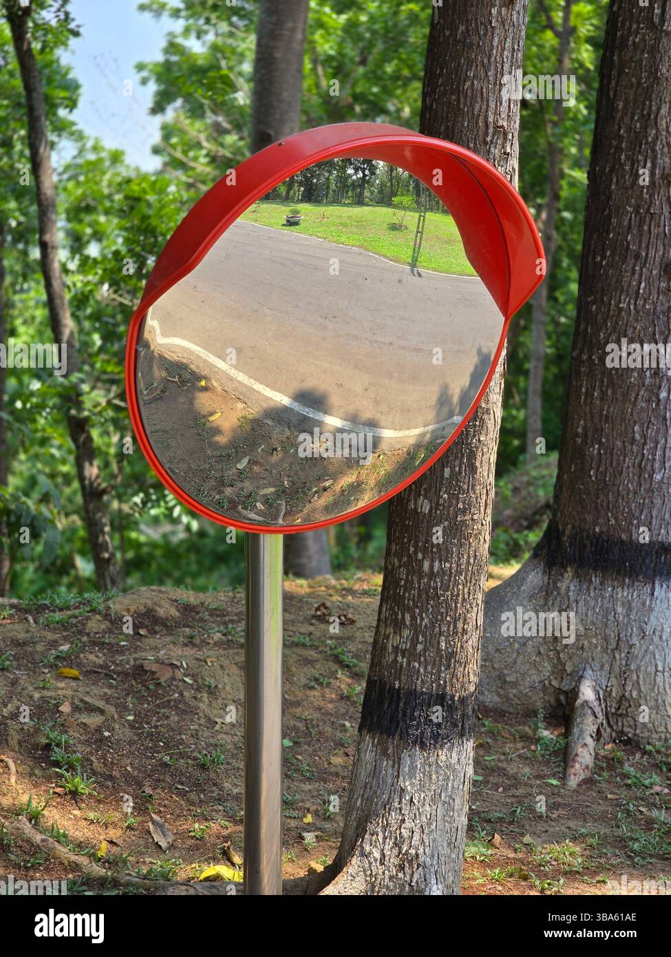 Wide angle traffic mirror showing a curved road in a park setting - Smartphone Captured Stock Image