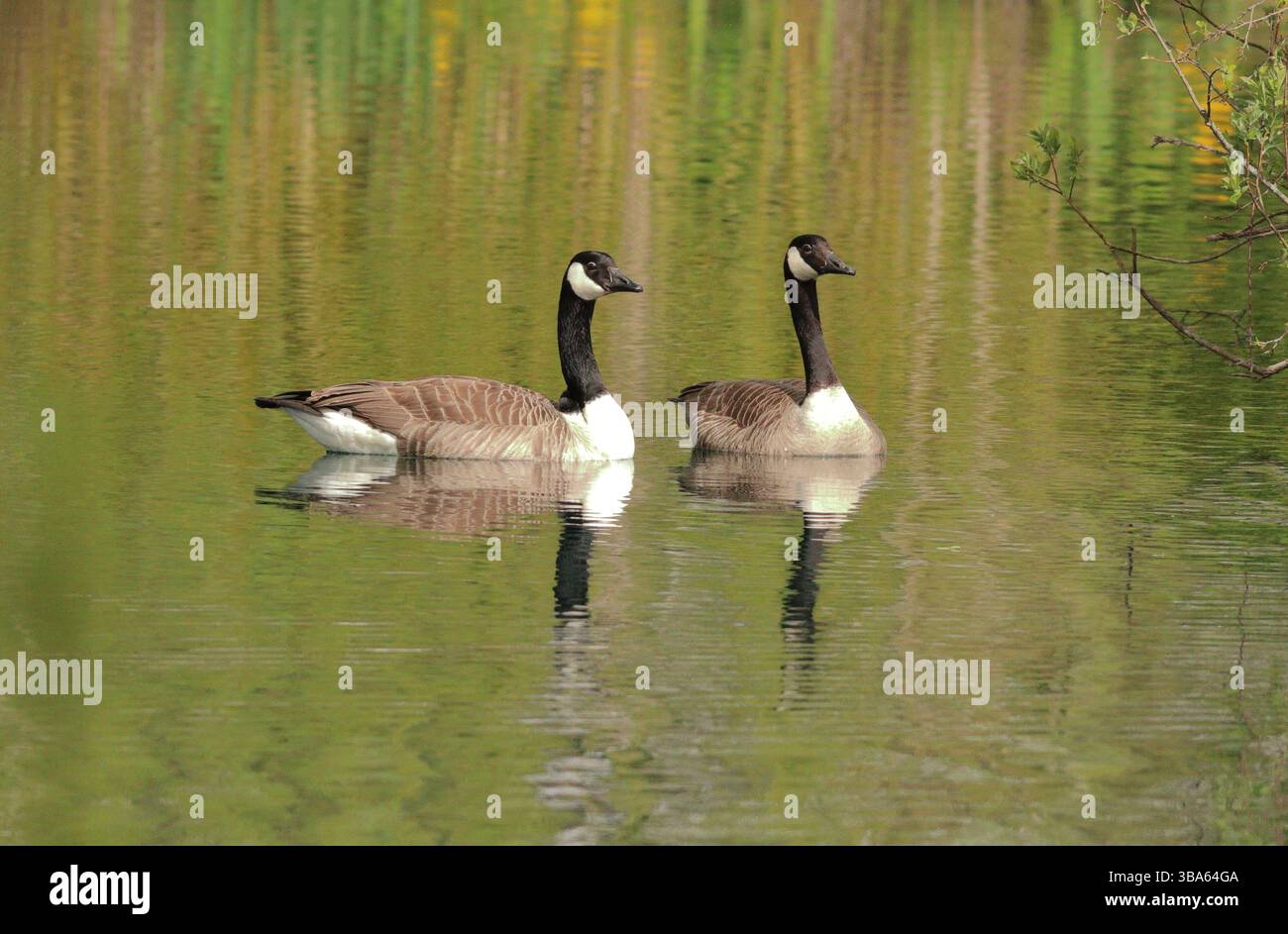 Filham lake hi-res stock photography and images - Alamy