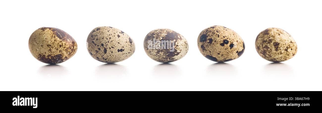 Spotted quail eggs isolated on a white background. Stock Photo