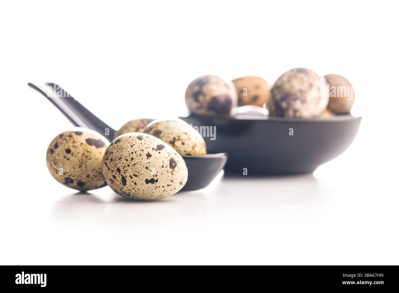 Spotted quail eggs isolated on a white background. Stock Photo