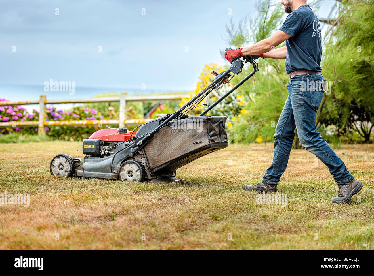 Landscaping and gardening profession, parks and gardens maintenance. Gardener with earmuffs mowing the lawn Stock Photo