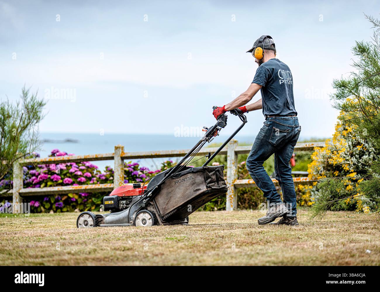 Landscaping and gardening profession, parks and gardens maintenance. Gardener with earmuffs mowing the lawn Stock Photo