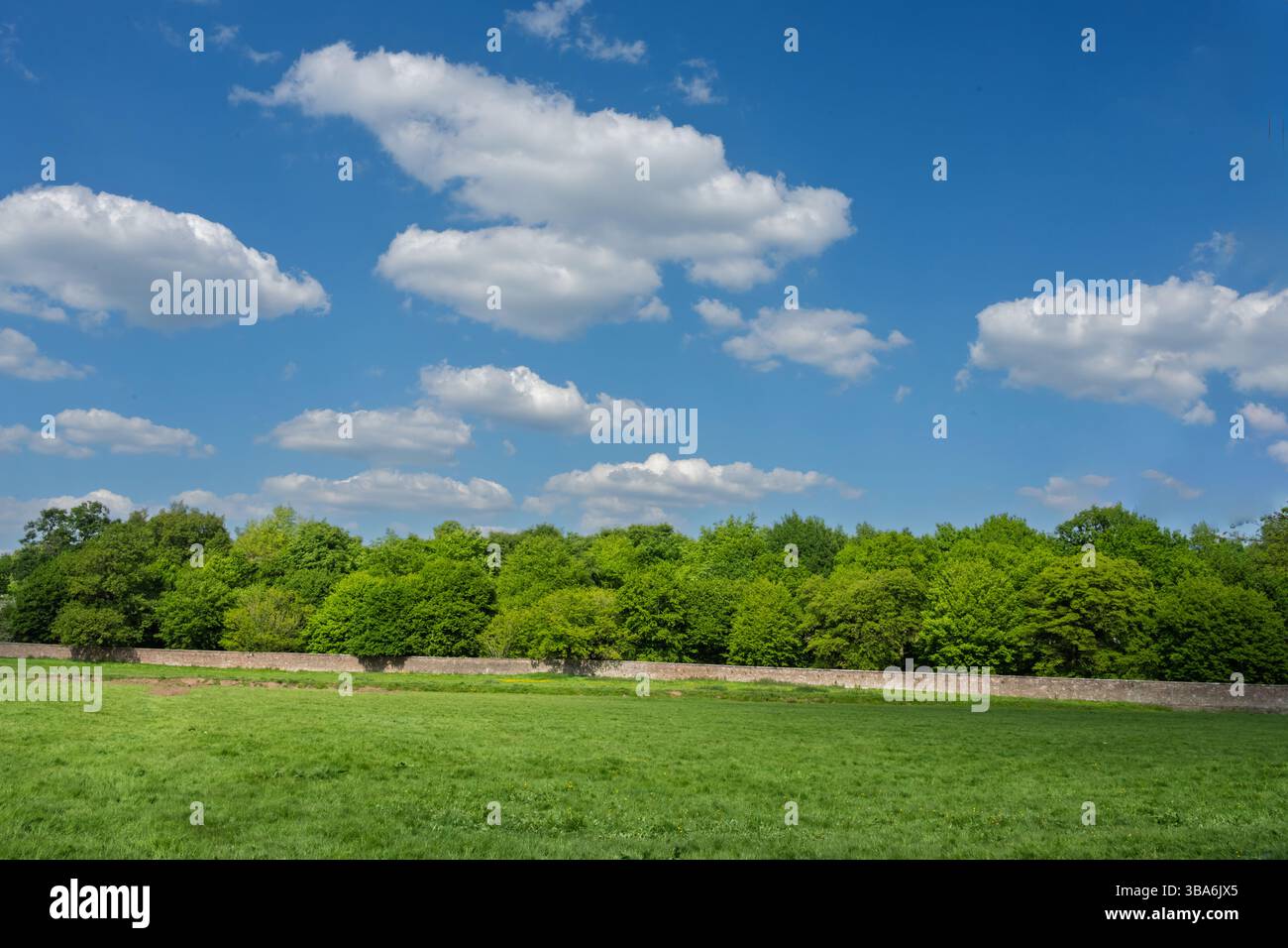 Cottonwool clouds in a clear blue sky. Stock Photo
