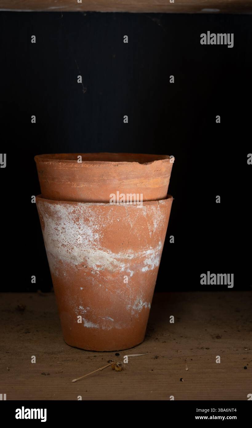 Old clay flowerpots Stock Photo