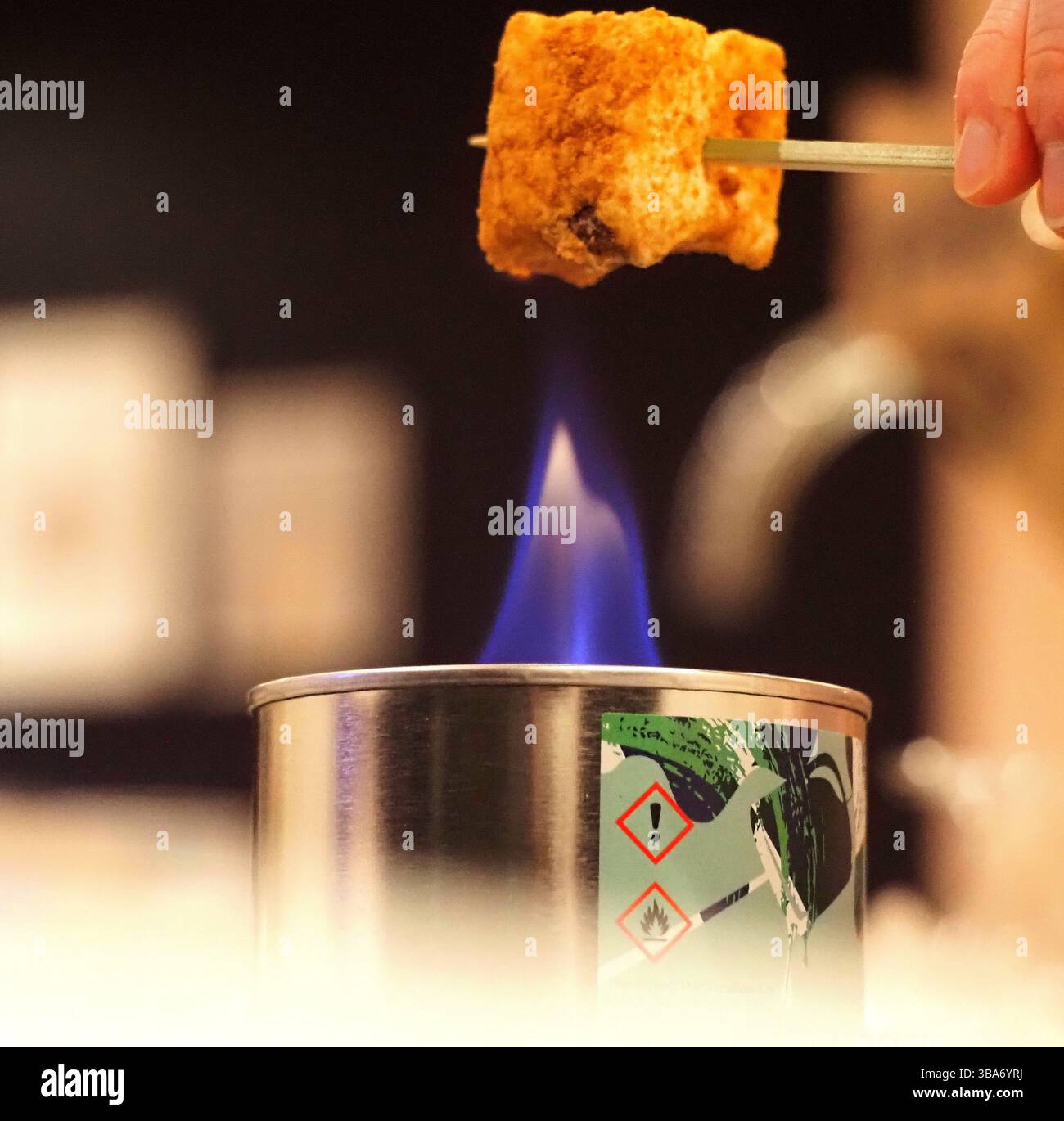 Toasting Marshmallows Stock Photo