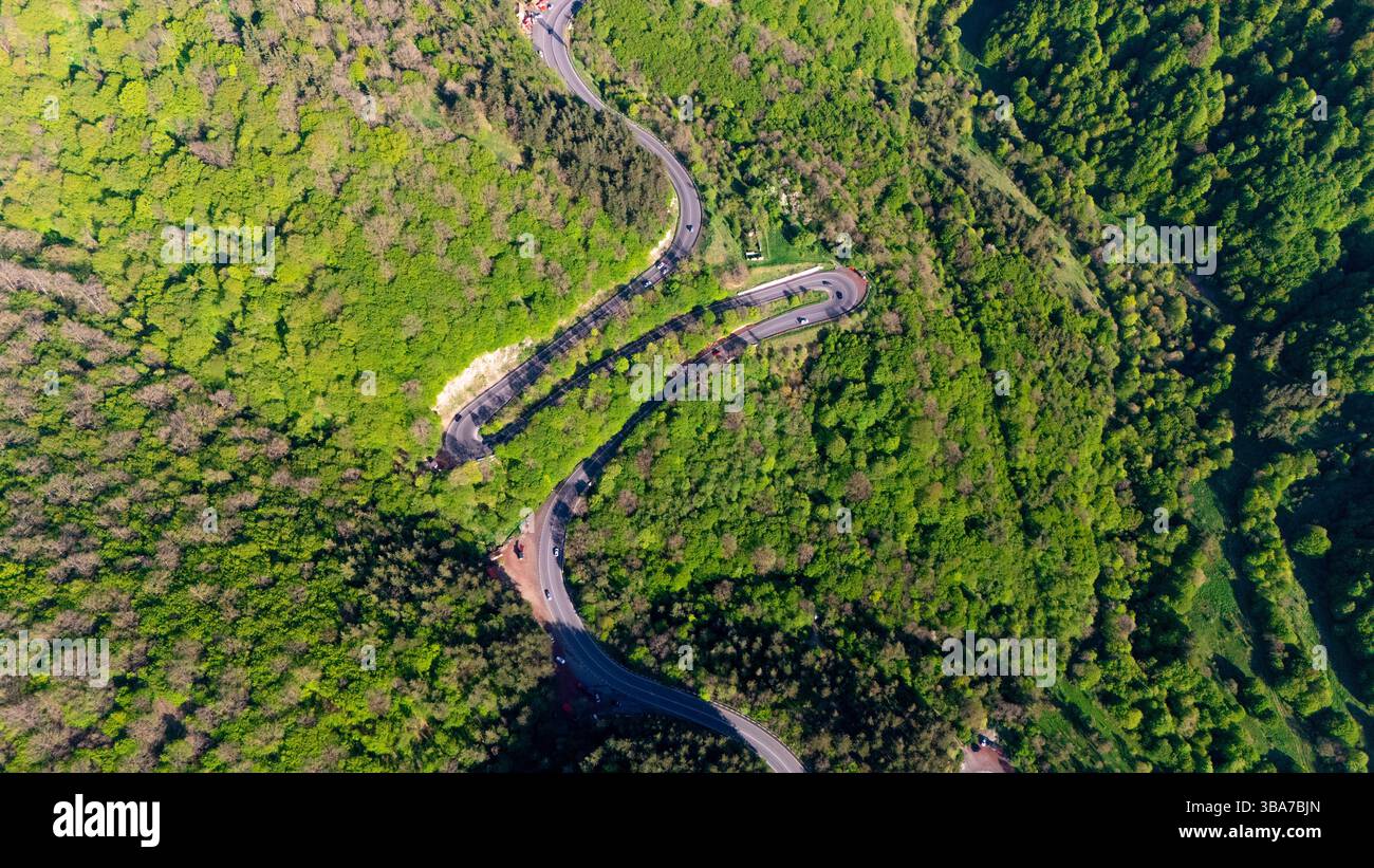 Aerial drone view of vehicles, navigating a winding forest road Stock ...