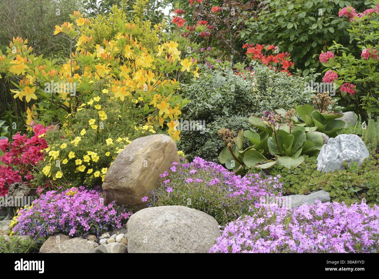 Heather rockery hi-res stock photography and images - Alamy