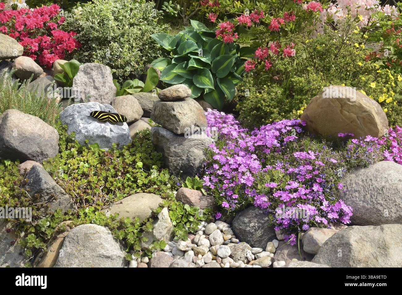 Rock garden with butterfly Stock Photo - Alamy