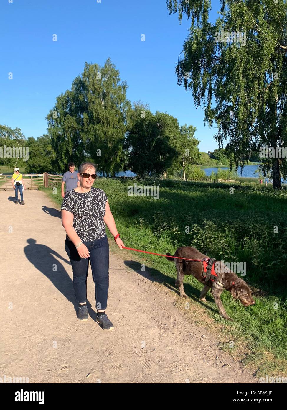 Sywell country park Northampton Northamptonshire England UK British water lake pond reservoir kids play walking walk trees shade shadows paths track - Smartphone Captured Stock Image