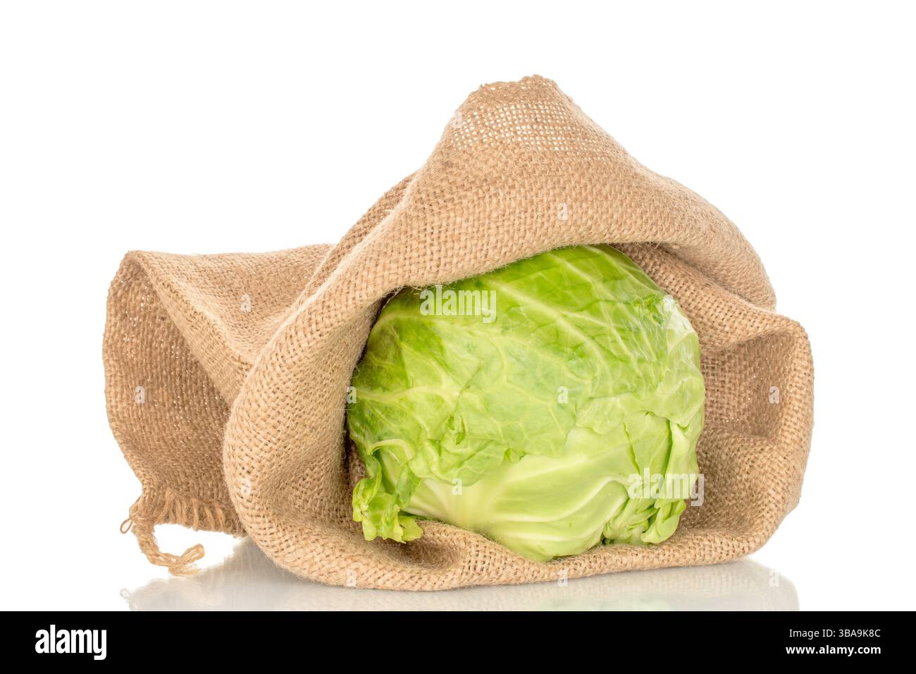 One cabbage in a jute bag, close-up, isolated on a white background ...
