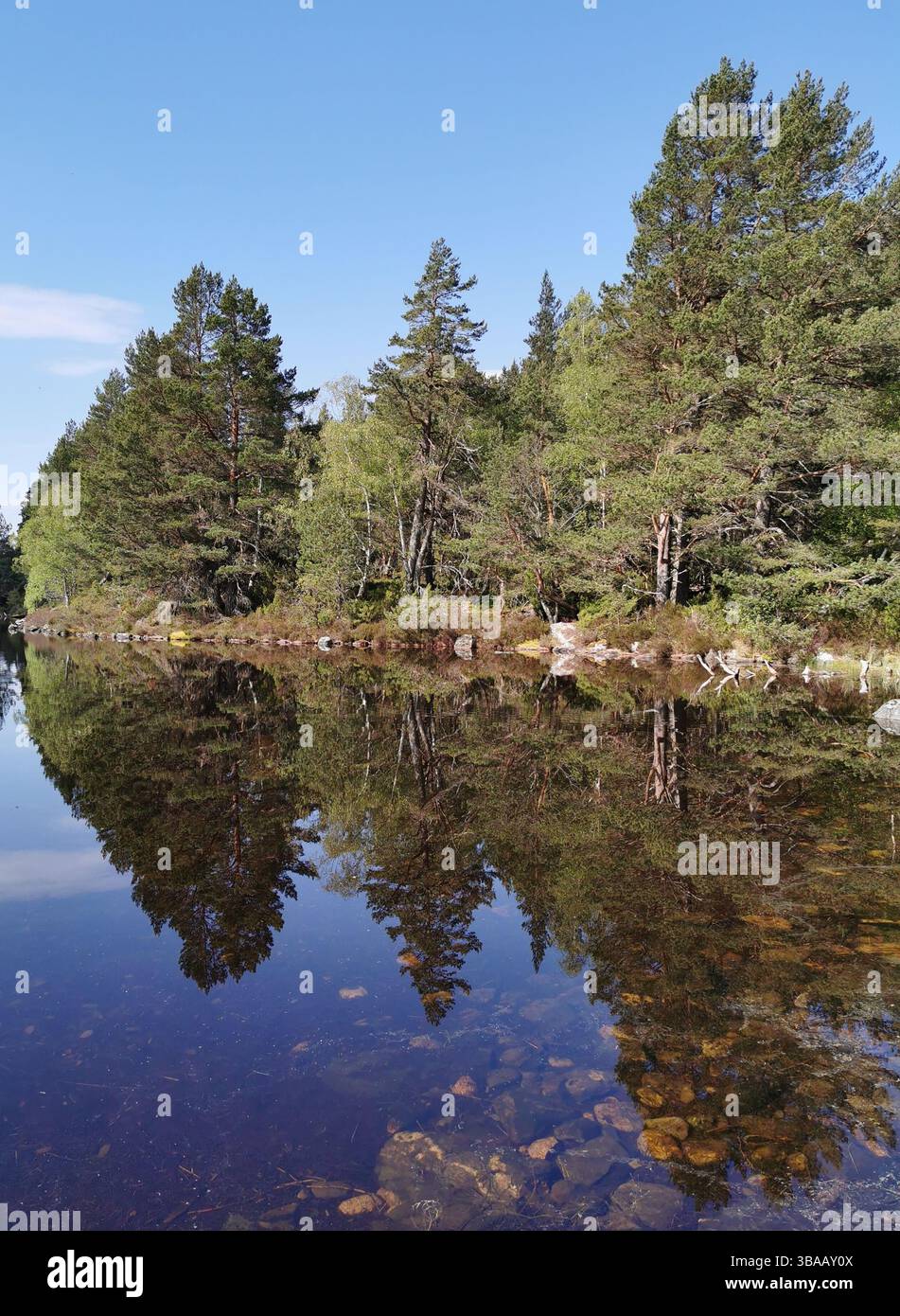 Loch Gamhna next to Loch an Eilein in the stunning Caledonian forest of Rothiemurchas near Aviemore in Scotland. - Smartphone Captured Stock Image