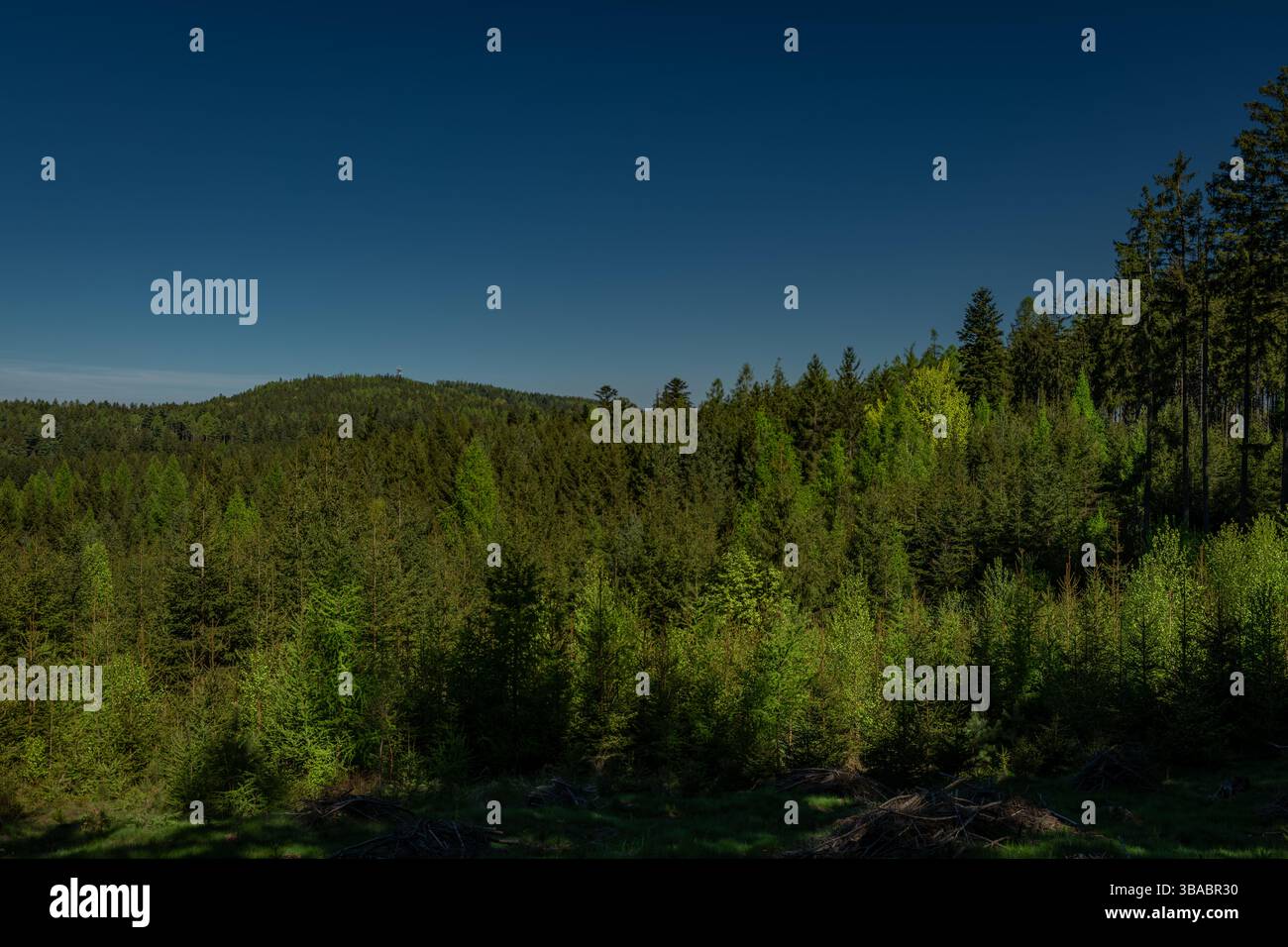 Color spring view in Orlicke mountains with green fresh forests and meadows Stock Photo
