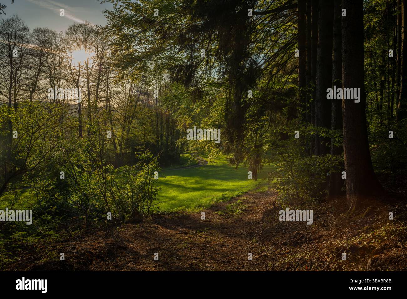 Color spring view in Orlicke mountains with green fresh forests and meadows in sunny evening Stock Photo