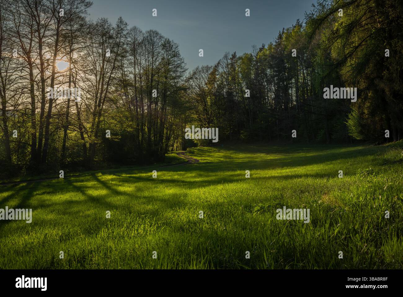 Color spring view in Orlicke mountains with green fresh forests and meadows in sunny evening Stock Photo