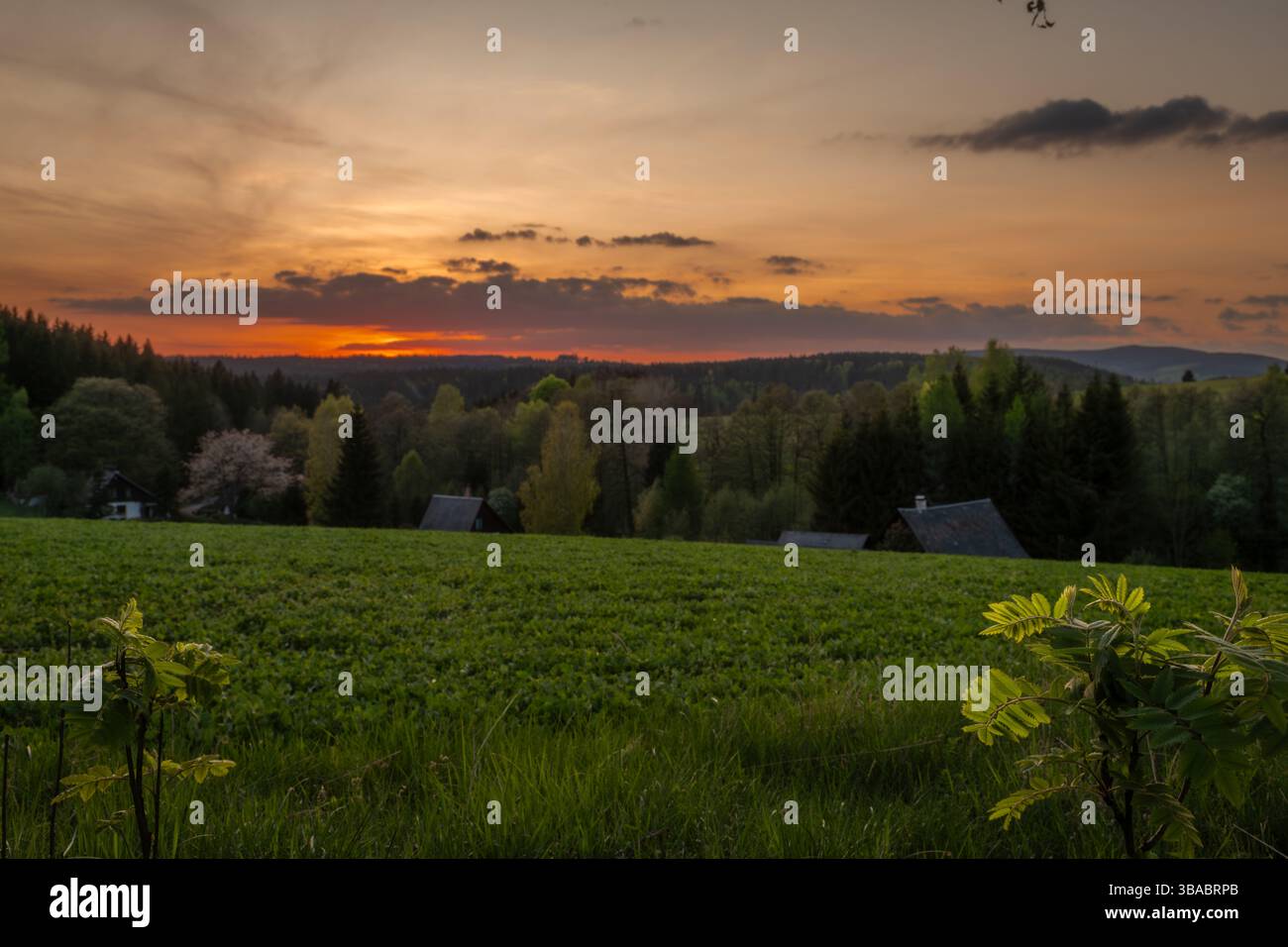 Color spring view in Orlicke mountains with green fresh forests and meadows in sunny evening near Cihak village Stock Photo