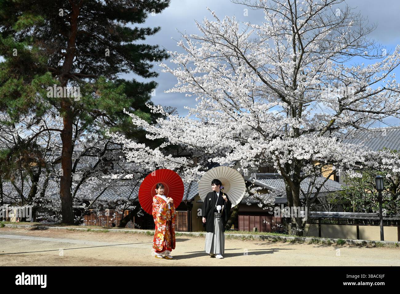 正装の二人　　　　　　2020724  え Married japanese couple hi-res stock photography and images - Alamy