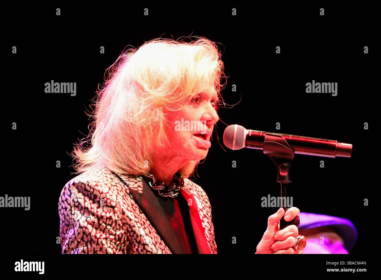 Music Concert - Rita Pavone The italian singer RITA PAVONE during the ...