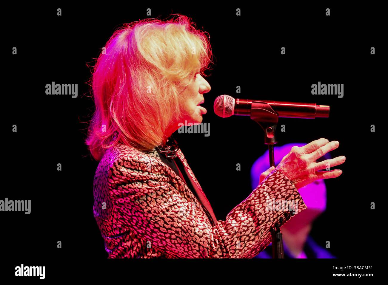 Music Concert - Rita Pavone The italian singer RITA PAVONE during the ...