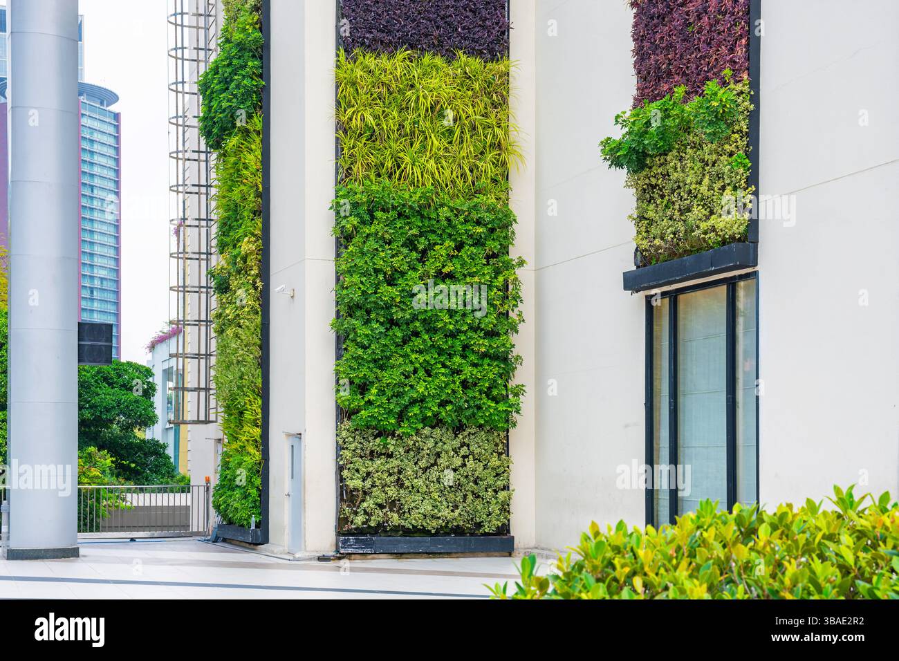 Modern vertical garden with colorful green plants on exterior walls of ...