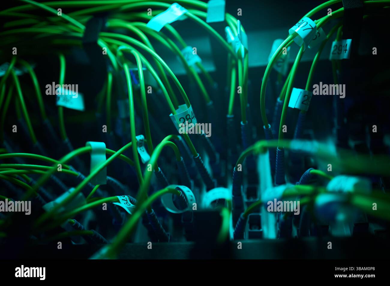 Illuminated Network Cables In Data Center Close-Up Stock Photo