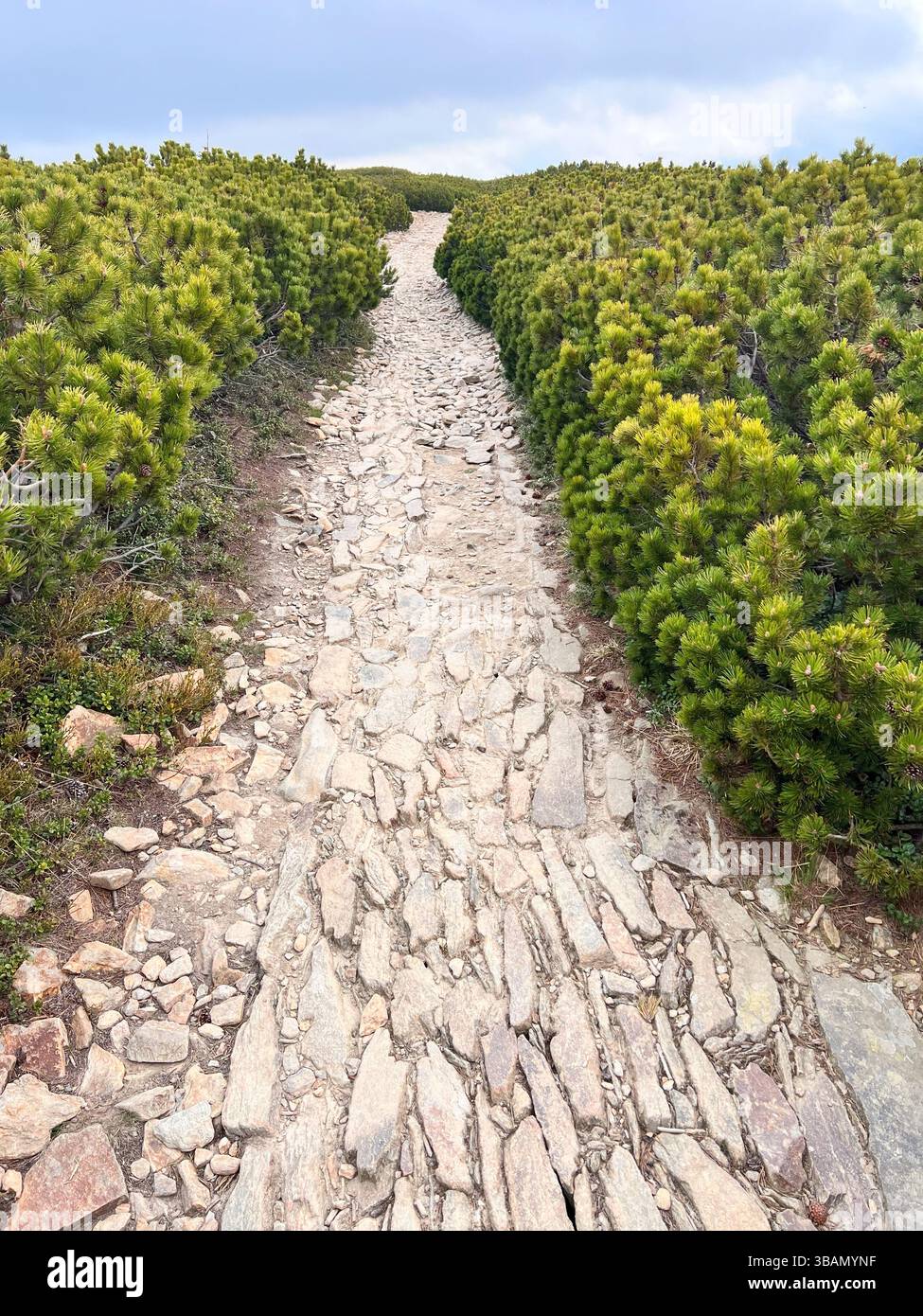 Rugged mountain summit hi-res stock photography and images - Alamy