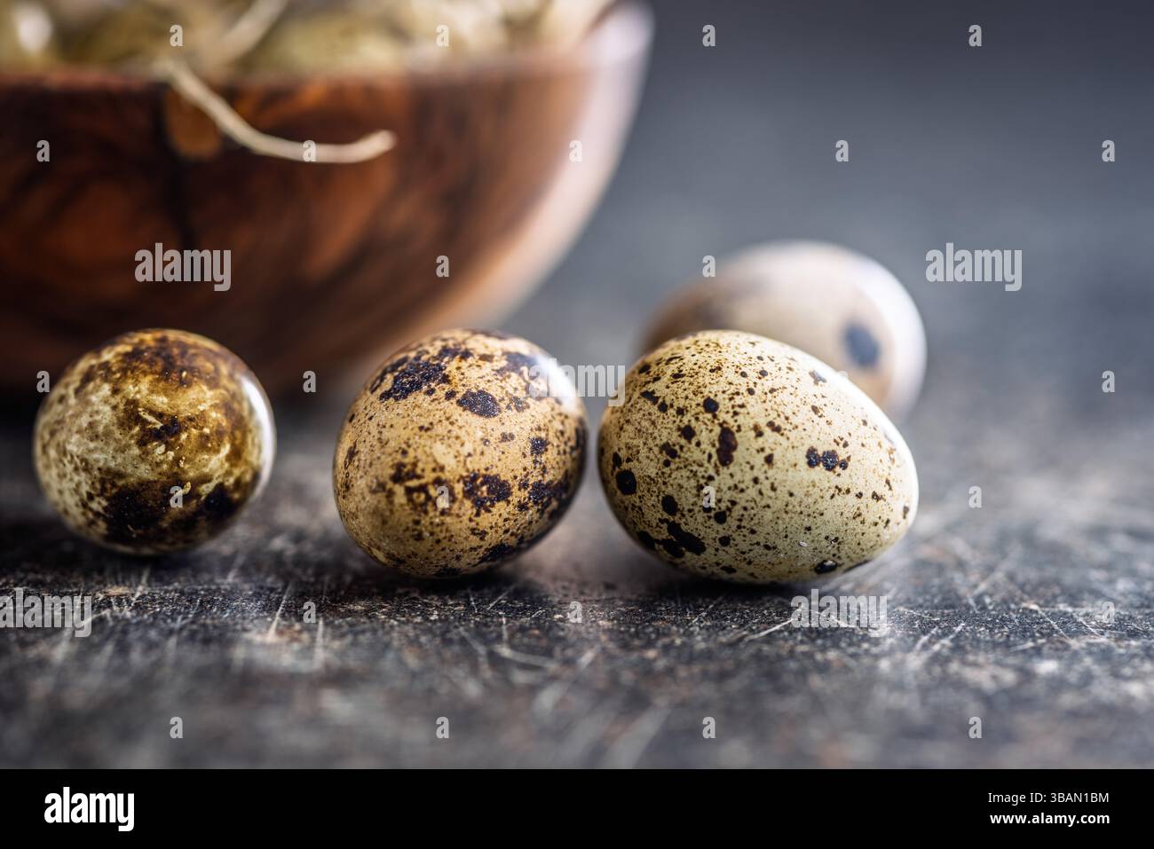 Spotted quail eggs on a black table. Stock Photo