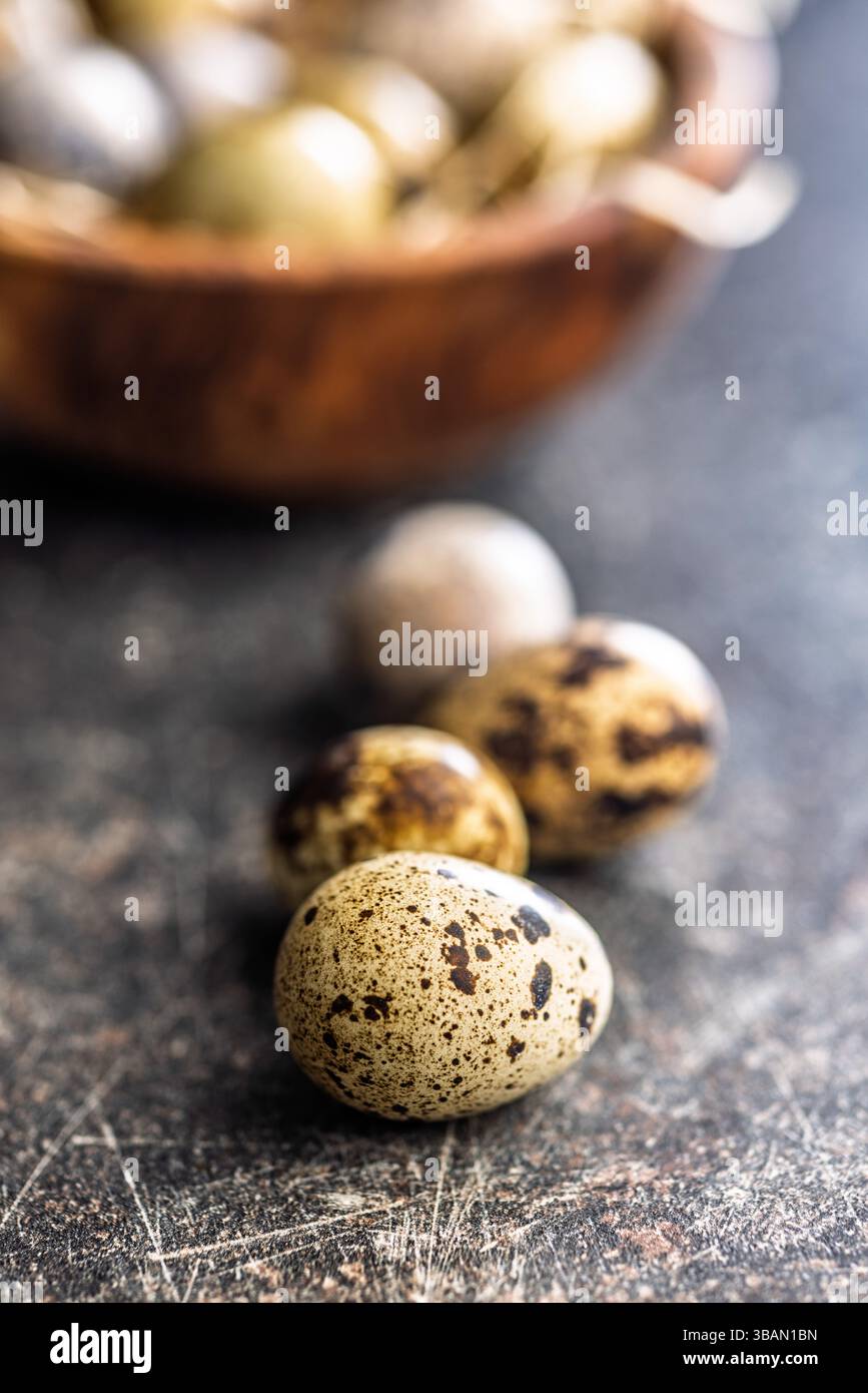 Spotted quail eggs on a black table. Stock Photo
