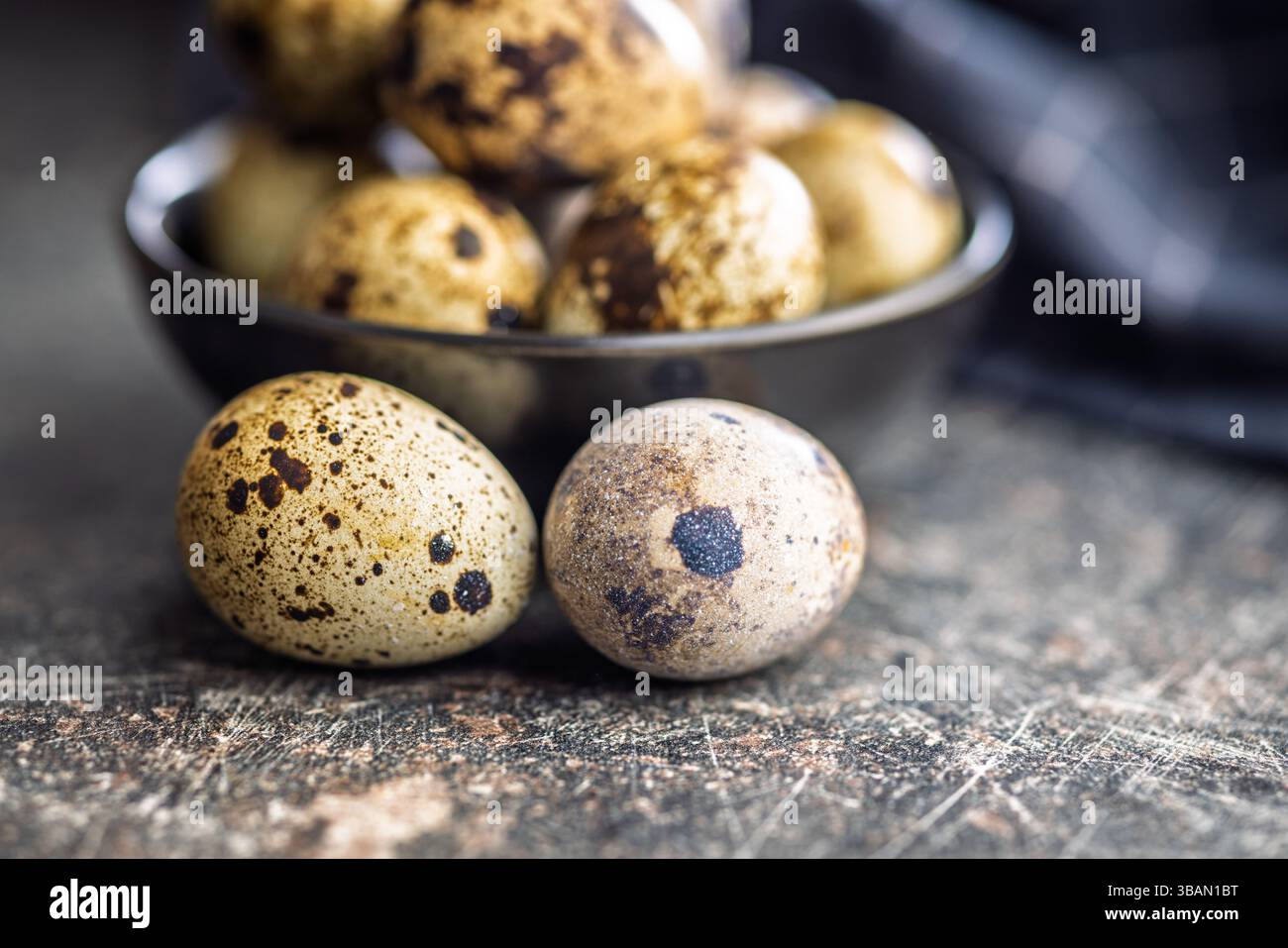 Spotted quail eggs on a black table. Stock Photo
