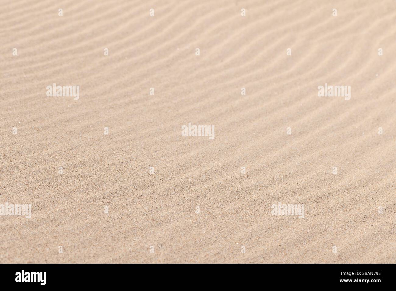 Closeup of sand textures in a desert, showcasing intricate rippling ...