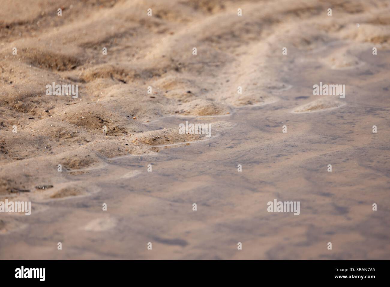 A detailed photograph showcasing ripples formed over a sandy surface ...